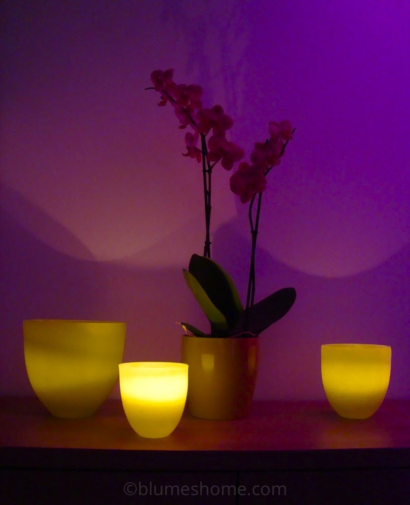 Toutes les Bougies, PartyLite