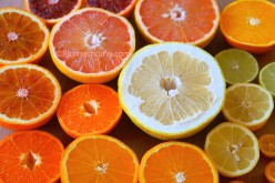 Planter des pépins d’agrumes : citron, orange, kumquat et autres