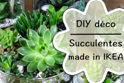 Vidéo DIY jardin de succulentes de chez IKEA