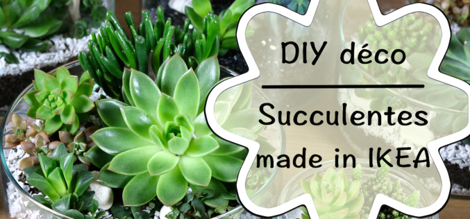 Vidéo DIY jardin de succulentes de chez IKEA