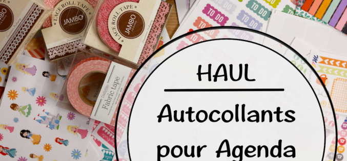 Vidéo Etsy Haul – Mes autocollants pour agenda