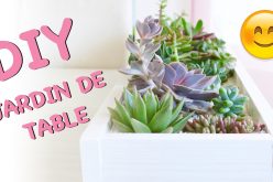 DIY – Jardin de succulentes pour table | décoration de plantes grasses