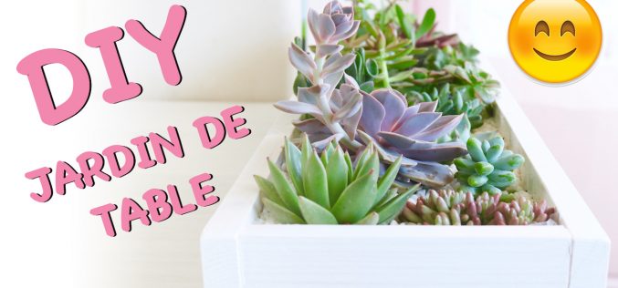 DIY – Jardin de succulentes pour table | décoration de plantes grasses