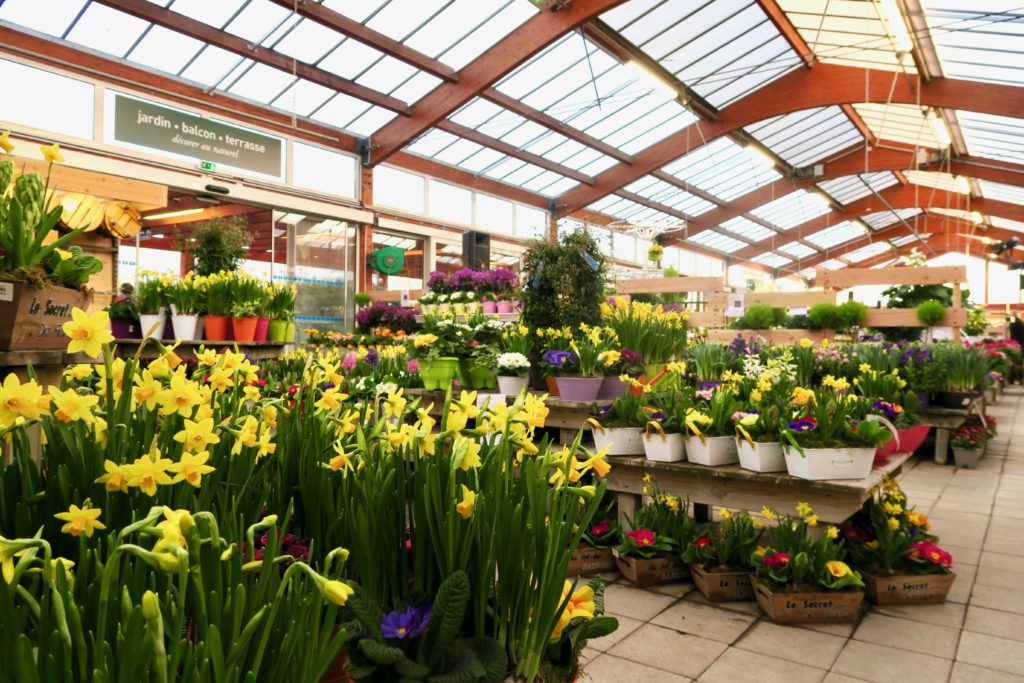 Botanic, bien plus qu'une jardinerie - ses univers et sa magie