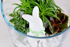 Le jardin de succulentes des Lapins | tutoriels faciles de succulentes – Décoration pour Pâques
