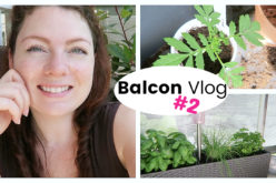 BALCON VLOG – Rempotages, shopping de plantes aromatiques et tissu déco