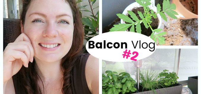 BALCON VLOG – Rempotages, shopping de plantes aromatiques et tissu déco