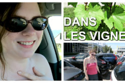 VLOG – Une Betterave, une Voiture et une Vigne