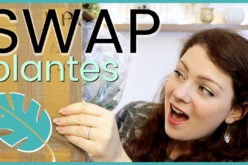 SWAP – On s’envoie des plantes, boutures et cadeaux avec Une fleur parmi les fleurs | Swap Plantes