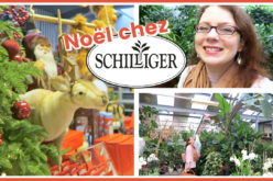 SHOPPING JARDINERIE – Marché de Noël et Achats Plantes chez Schilliger | Avec La Route de Ben