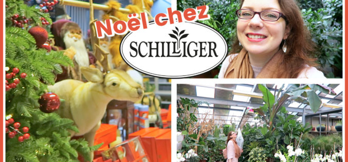 SHOPPING JARDINERIE – Marché de Noël et Achats Plantes chez Schilliger | Avec La Route de Ben