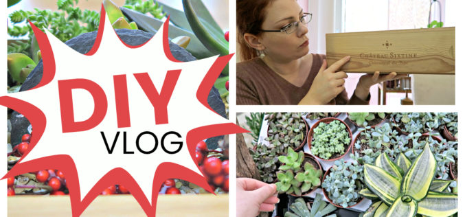 DIY VLOG – Comment j’ai créé un arrangement de succulentes dans une caisse | Tutoriel de succulentes