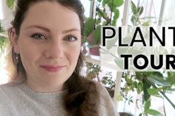 PLANT TOUR 2019 – Ma collection complète de plantes d’intérieur | Plantes vertes et orchidées