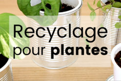 DIY Recyclage créatif – 3 astuces pour vos plantes d’intérieur