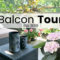BALCON TOUR – Plantes, déco et aménagements du balcon | Eté 2019