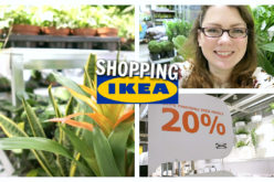 SHOPPING VLOG – Toutes les plantes d’intérieur en promo : action chez IKEA