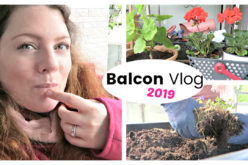 BALCON VLOG – Rempotages, déco et sorties des plantes au printemps | Vlog jardinage au balcon