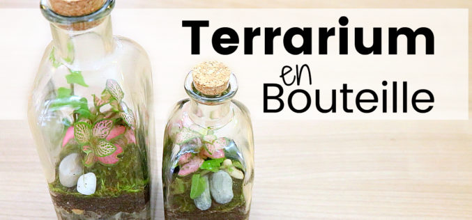 DIY – Comment créer un terrarium en bouteille | Plantes en bocal