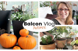 BALCON VLOG : Rentrer les plantes et décorer son balcon en automne | Vlog jardinage au balcon