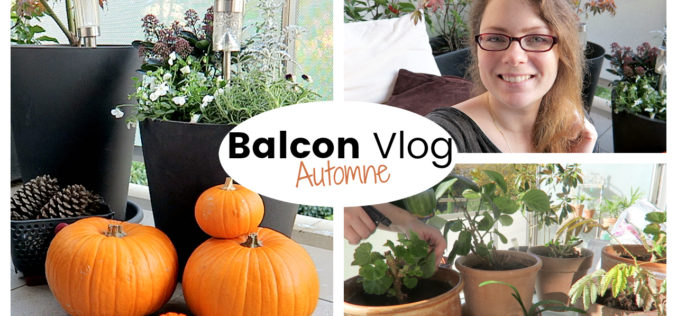 BALCON VLOG : Rentrer les plantes et décorer son balcon en automne | Vlog jardinage au balcon