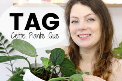 TAG plantes – Cette Plante Que | Confessions d’une amoureuse des plantes
