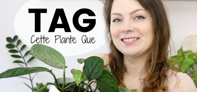 TAG plantes – Cette Plante Que | Confessions d’une amoureuse des plantes