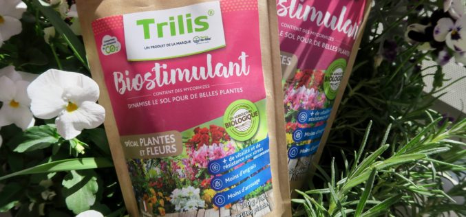 Mieux nourrir ses plantes avec le fertilisant plantes Terra fertilis®