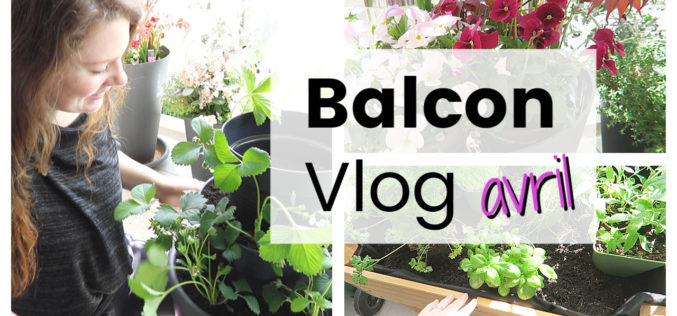 BALCON VLOG – Tour de fraises DIY, potager surélevé, repiquer les semis