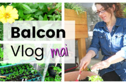 BALCON VLOG – Haul, installation coccinelles, plantations et rempotages