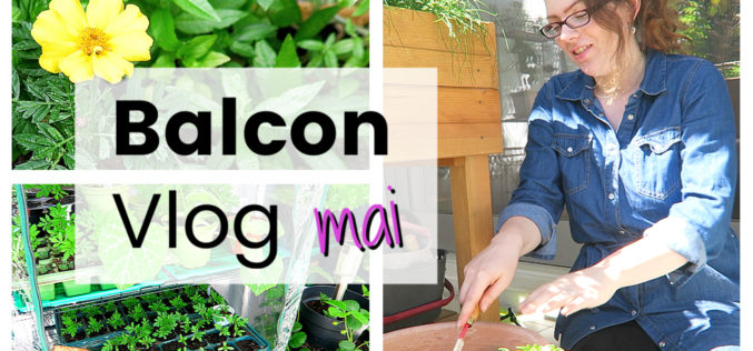 BALCON VLOG – Haul, installation coccinelles, plantations et rempotages