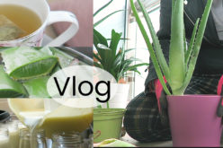 VLOG – Violettes en fleurs, shopping, livres, yaourt maison et jardinage
