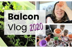 BALCON VLOG – Jardiner pour s’apaiser, tri, semis et planter des salades