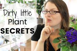 TAG – Dirty little plant secrets avec Marion Botanical