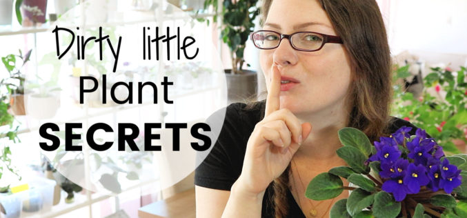 TAG – Dirty little plant secrets avec Marion Botanical