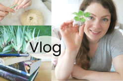 VLOG – Jardinage, envoi de boutures et Pumpkin Autumn Challenge | Une semaine ensemble