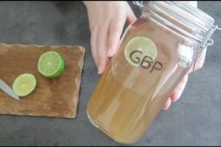 Ginger Beer Plant : Comment faire du Ginger Beer avec du GBP, la bière de gingembre maison