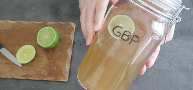 Ginger Beer Plant : Comment faire du Ginger Beer avec du GBP, la bière de gingembre maison